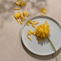 90×90 フレグランスベージュ