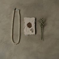 120×90 アースベージュ