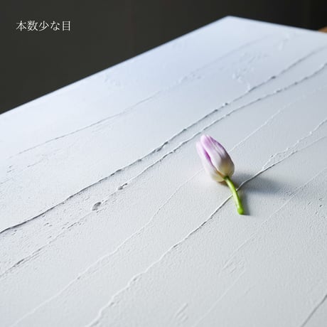 45サイズ：白い漆喰[SEN]