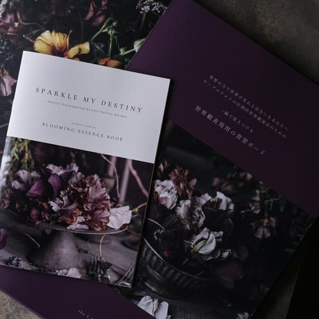 catalog Vol.2