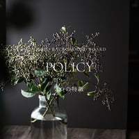 POLICY