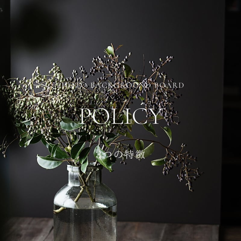 LIVING PHOTO ＆SO 企画　撮影ボード LIVING PHOTO ＆SO 企画 撮影ボード