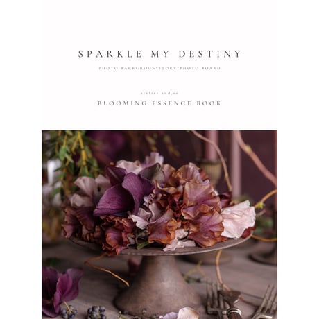 catalog Vol.2