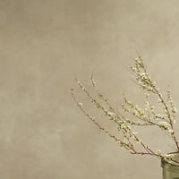45スモーキーなドライフラワーが似合うエクリュベージュ