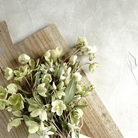 120×120「静かな曇り空」ボタニカルクラウディーグレー