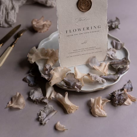 45:スウェードパープルベージュ"Journey第2世代"