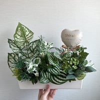 Green × Balloon arrange ~medium~