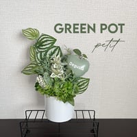 Green Pot ~petit~
