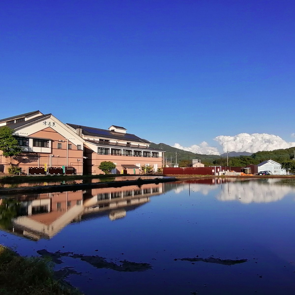 kazunoページ□52000+16700=68700ヒーリングハーブス社 kazunoページ