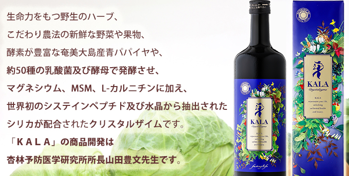 カラ酵素　KALA ファスティング断食ドリンク