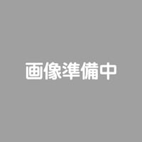 軽量ケース（アルト用）