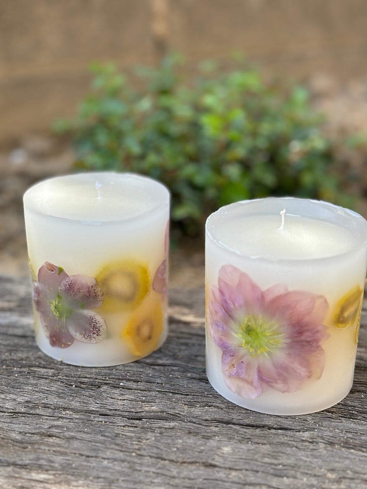 キウイとクリスマスローズのボタニカルキャンドル | Maki no akari