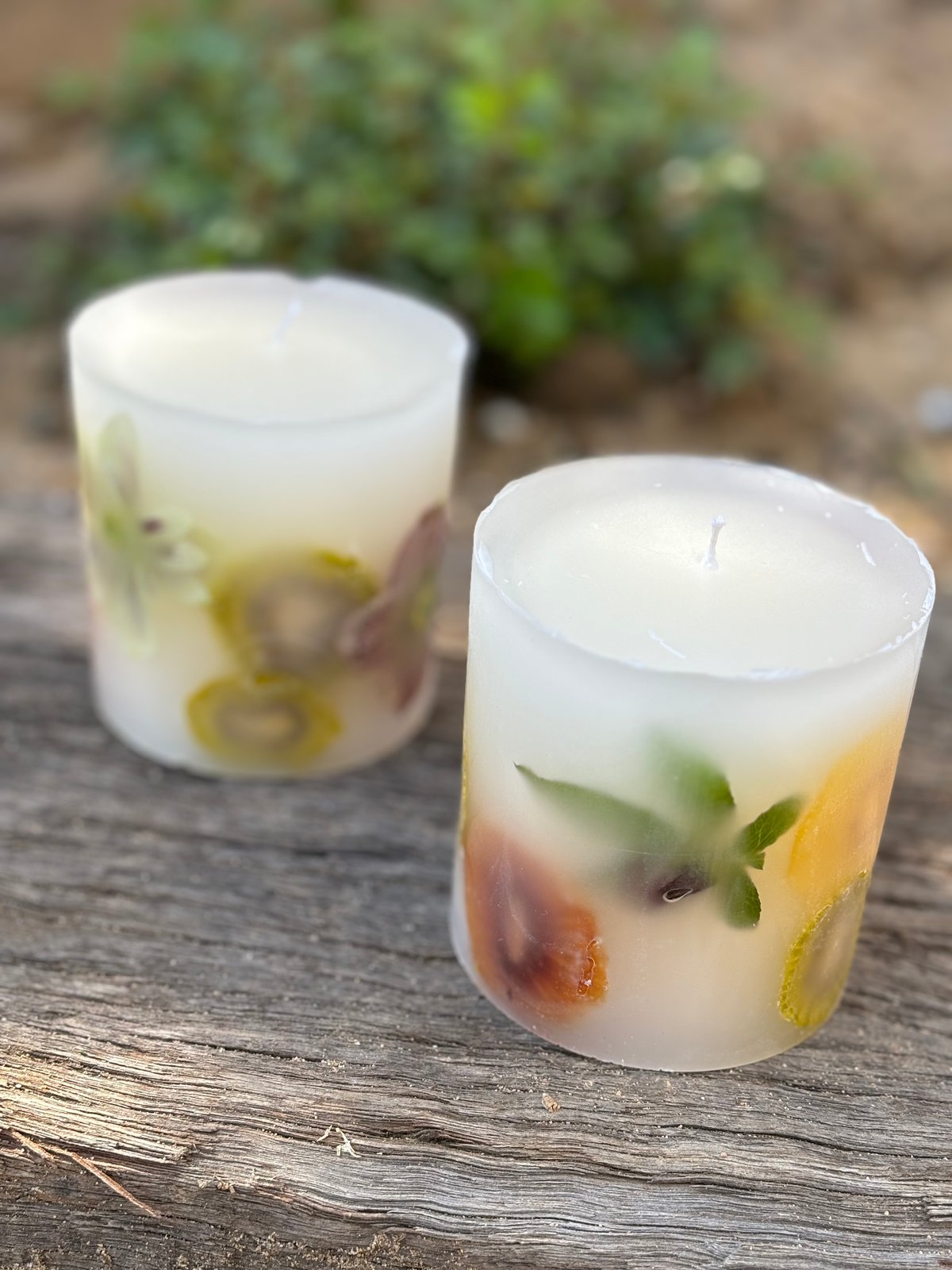 キウイとクリスマスローズのボタニカルキャンドル | Maki no akari