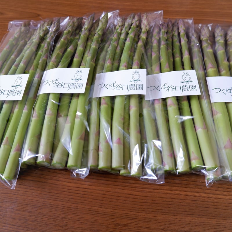 クール便】春アスパラガス1㎏ 【サイズいろいろ】 | つくば谷口農園