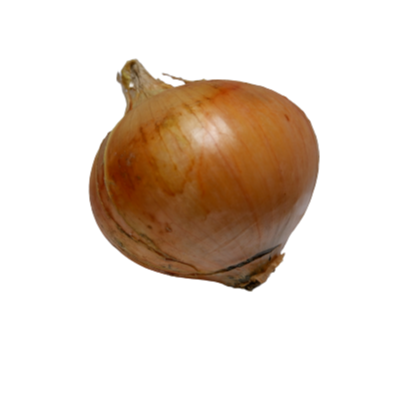 玉ねぎ2㎏ | つくば谷口農園