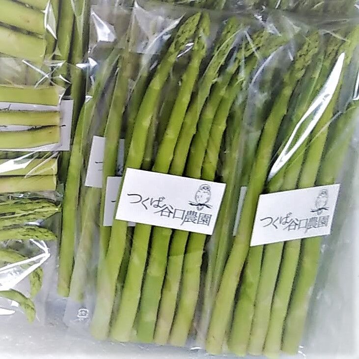 クール便】夏アスパラガス1㎏【サイズいろいろ】 | つくば谷口農園