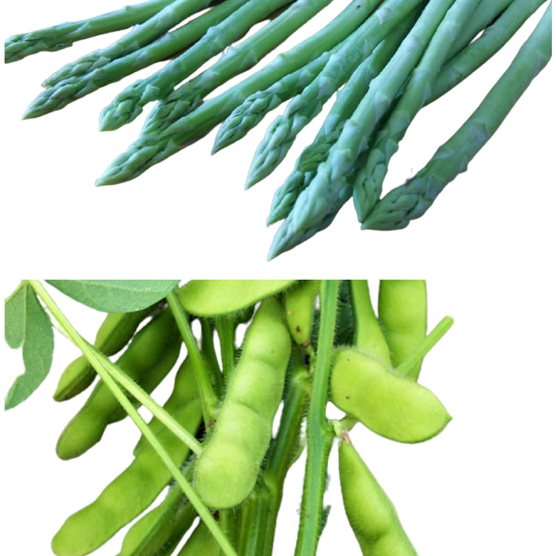 クール便】アスパラガス500g・枝豆500gセット | つくば谷口農園