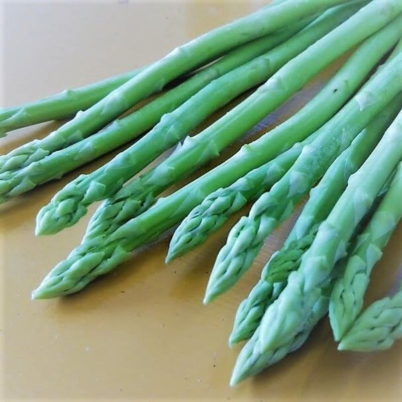 アスパラ クール便】アスパラガス500g・枝豆500gセット | つくば谷口農園