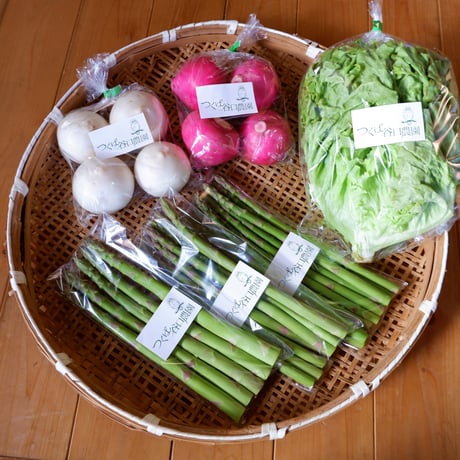 【クール便】春の野菜セット（アスパラガス、リーフレタス、赤カブ、白カブ）