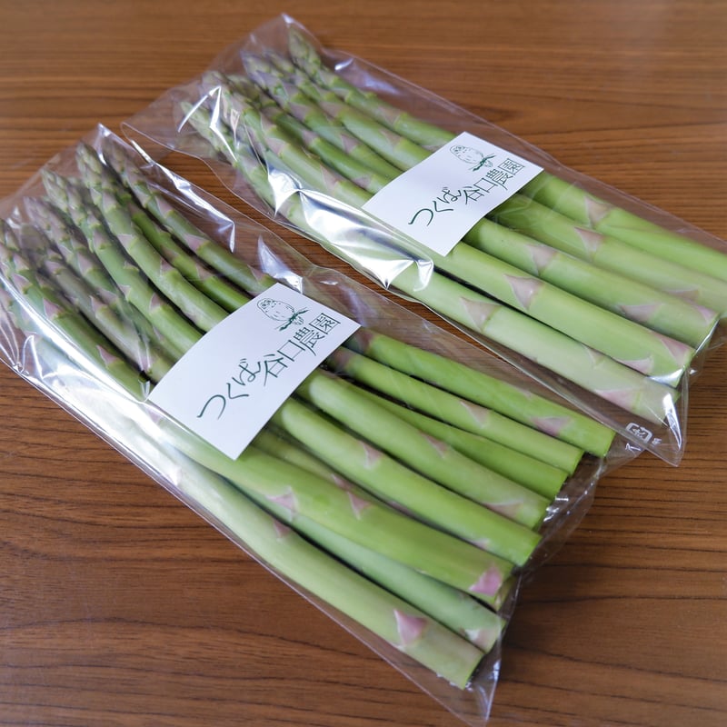 クール便】春アスパラガス500g 【サイズいろいろ】 | つくば谷口農園