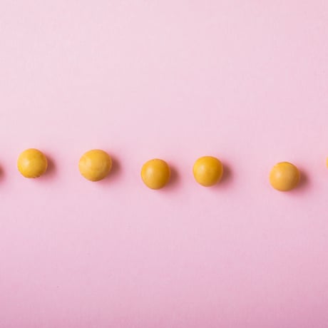 【温/冷どちらも楽しめる】生姜 にんじん 豆乳 ポタージュ