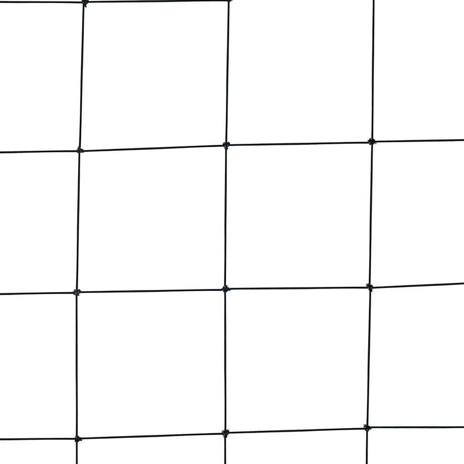 6458b54de1c1b9002a9bfb3e