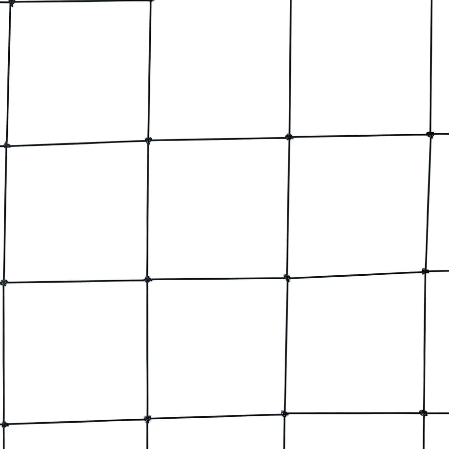 6458b4a6468379002a6da2ca