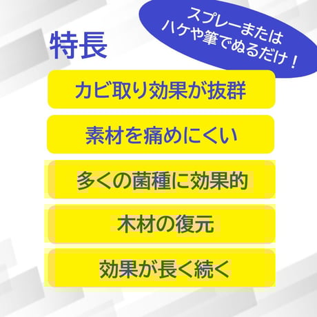 強力カビ取り剤　モールドゼロ MOLD ZERO　2本セット ＜送料無料＞