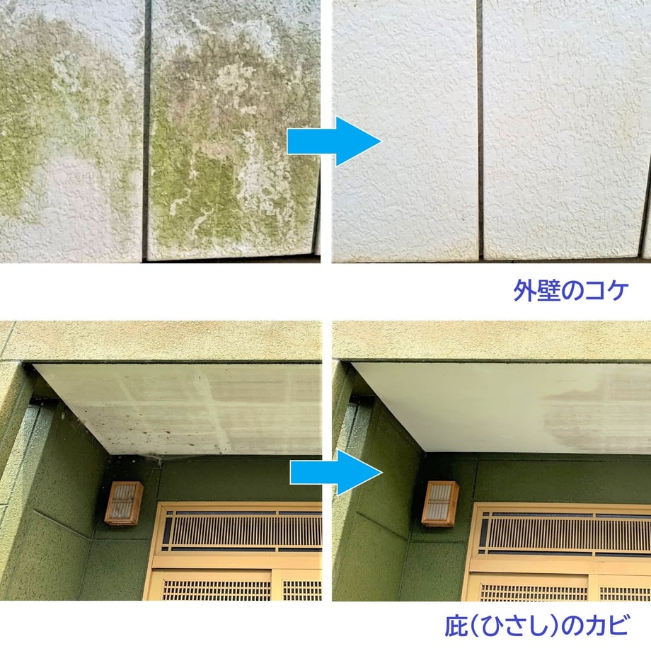 63933cf77afdb46b789cd05a