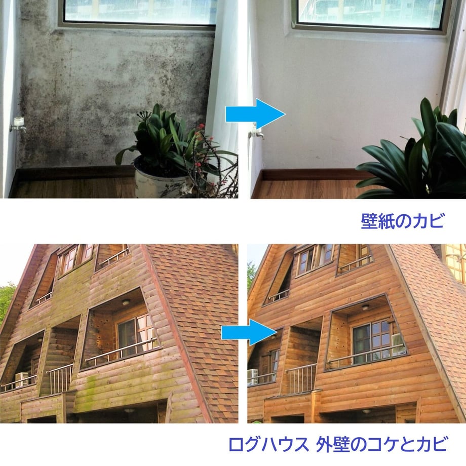 63933cf77afdb46b789cd05a