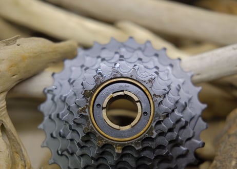 SUNTOUR / AP