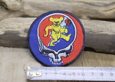 the Grateful Dead