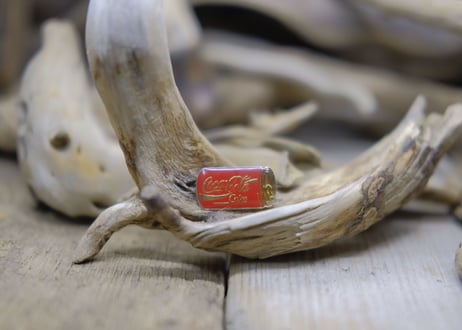 COCA-COLA / PINS