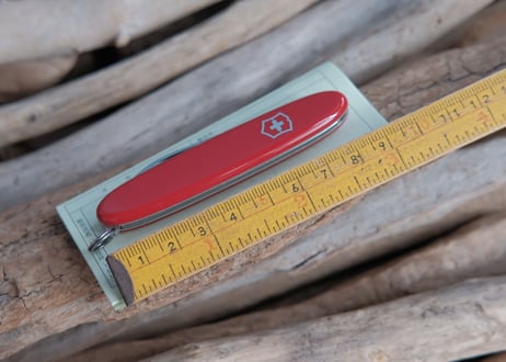 VICTORINOX / Excelsior