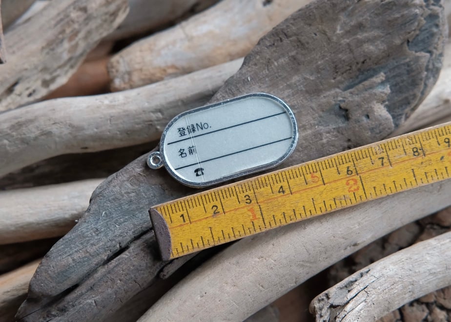 6804c93b888a2e2198d3f1bc