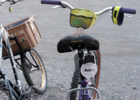FedEx / BLINKING LIGHT