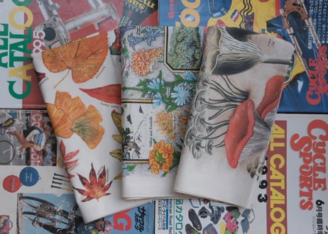 The Printed Image