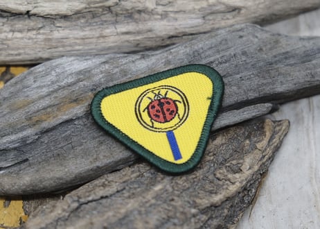 CUB SCOUT PATCH