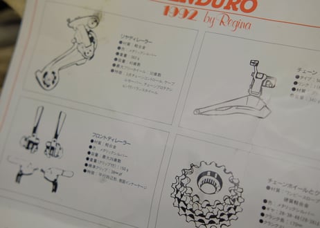 REGINA EXTRA / ENDURO