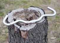 HARA CYCLE / CROSS BAR
