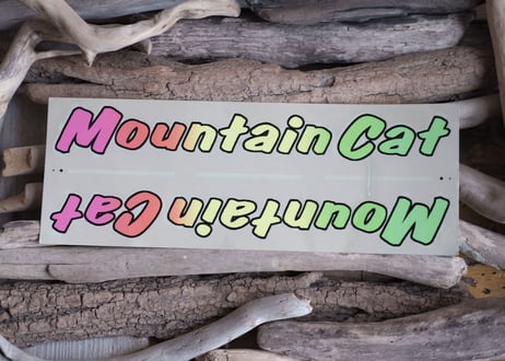 PANASONIC / MOUNTAIN CAT