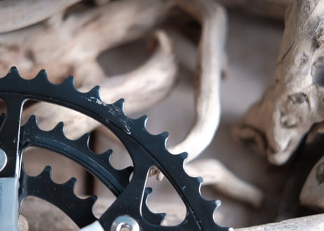 SHIMANO / EXAGE MOUNTAIN