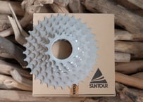 SUNTOUR / AP