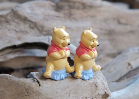 Winnie the Pooh / Disney