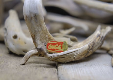 COCA-COLA / PINS