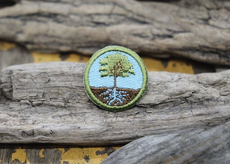 CUB SCOUT PATCH