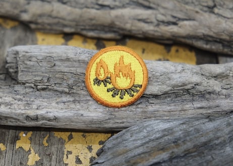 CUB SCOUT PATCH