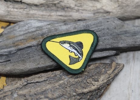 CUB SCOUT PATCH