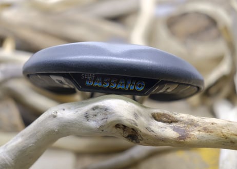SELLE BASSANO / TITANIUM LINE