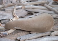 selle ITALIA / BUCK SKIN
